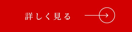 詳しく見る